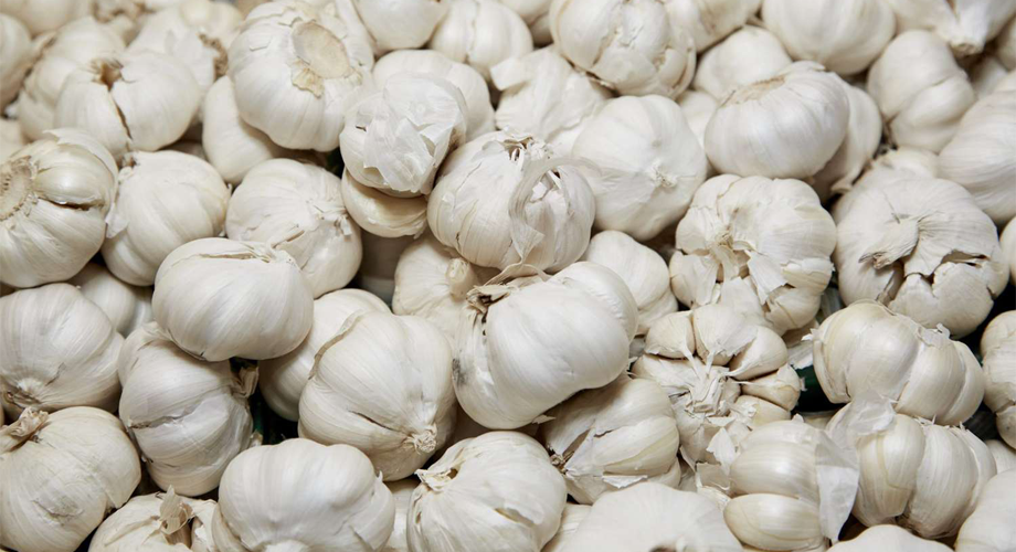 White Garlic